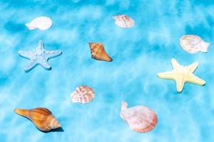 conchas marinas y caracoles y estrellas de mar bajo el agua foto