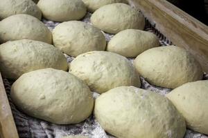 Making bread dough photo