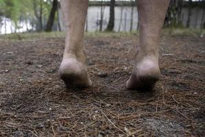 Dirty feet in forest photo