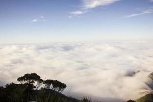Vista de la delgada pista de montaña en Brasil foto