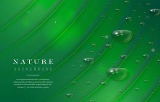 Green Nature Background vector