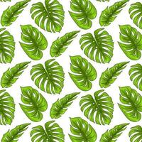 Tropical seamless pattern with exotic leaves in cartoon style vector