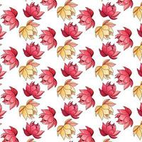 Tropical pattern with exotic flowers in cartoon style vector