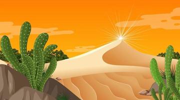 Desert forest landscape at sunset time scene with many cactuses vector