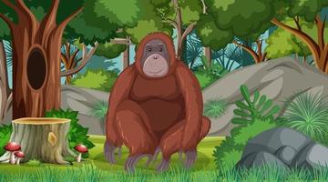 orangután en el bosque o la escena de la selva tropical con muchos árboles vector