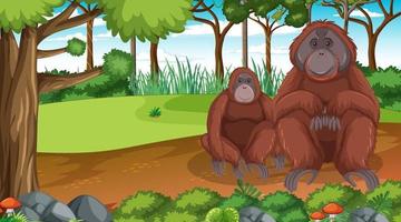 Orangutan in forest or rainforest scene with many trees vector