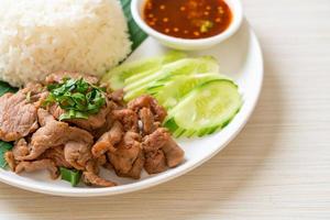 Grilled pork garlic with rice with spicy sauce in Asian style photo