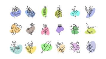 elementos florales dibujados a mano del doodle. tema de primavera y verano. vector botánico de flores y plantas en arte lineal o estilo de contorno. se puede utilizar para el icono de portada de la historia destacada de las redes sociales