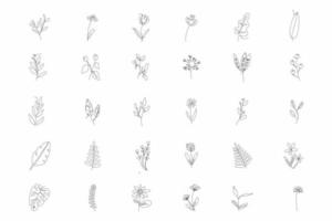 30 Line continuous art of floral vector