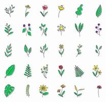 Hand-drawn doodle floral elements. spring and summer theme. flower and plant botanical vector in flat color line art or outline style. can be used for highlight story cover icon