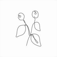 one line drawing of leaves and tiny fruit. continuous line art vector