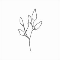 one line drawing of trunk and leaves. continuous line art vector