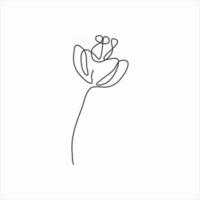 one line drawing of spring flower. continuous line art vector