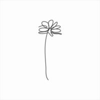 one line drawing of marigold flower. continuous line art vector