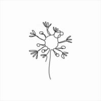 one line drawing of dandelion flower. continuous line art vector