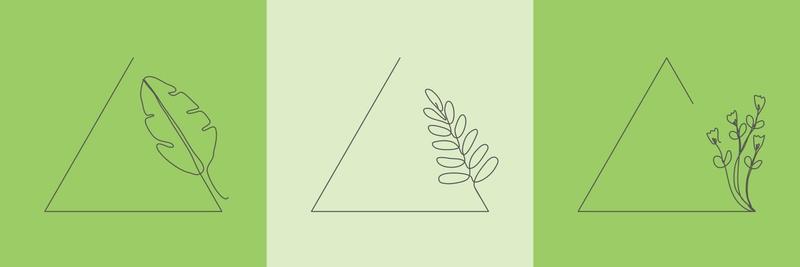 Set Hand Drawn floral Organic grass, Leaves and flower with triangle frame, Decorative Leaf element. Line art Vector Illustration for social media, wedding, invitation, logo, cosmetic