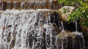 vattenfall i floden i vild natur video