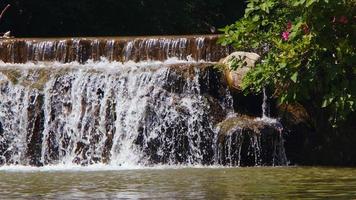 vattenfall i floden i vild natur video