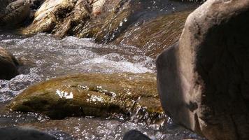 Waterfall in River in Wild Nature video