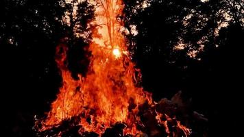 bucle de bucle de fuego aislado sin fisuras. elemento de fuego en bucle, encendido de fuego smotion de abajo hacia arriba. llama de fuego aislado video