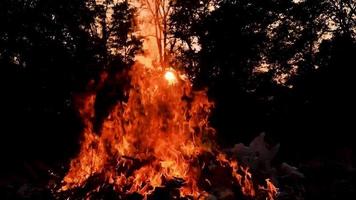 feu en boucle boucle parfaite isolée. élément de feu en boucle, allumage du feu de smotion de bas en haut. flamme de feu isolée video