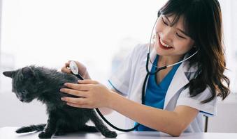 la veterinaria está haciendo exámenes físicos de rutina para el gato