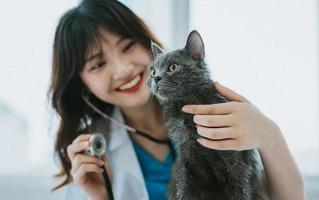 The female veterinarian is doing routine physical exams for the cat photo