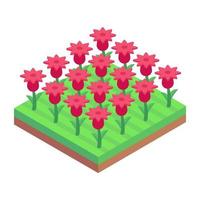 jardín de flores de tulipanes vector