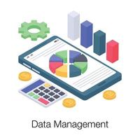 conceptos de gestión de datos vector