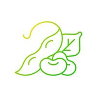 icono de vector lineal degradado de edamame. verduras naturales. cultivos alimentarios versátiles. comidas a base de plantas. fuente de nutrición. símbolos de color de línea fina. pictograma de estilo moderno. dibujo de contorno aislado vectorial