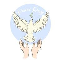 Dove of peace and olive branch vector