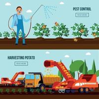 Potato Cultivation Flat Compositions Vector Illustration