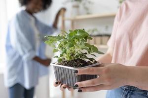 Friends having a sustainable garden indoors photo