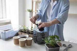 mujer que tiene un jardín sostenible en el interior foto