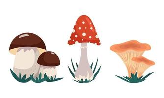 Variety of mushrooms, set of mushrooms - alien and edible, vector clip art in flat style. Isolated