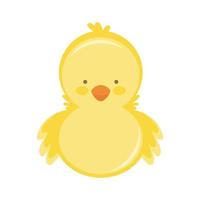 cute cartoon yellow chick vector