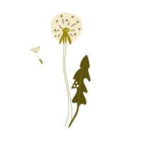 Hand drawn dandelion flower and seed. Flat illustration. vector