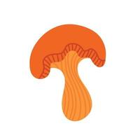 Chanterelle on a white background. Vector illustration in the doodle style