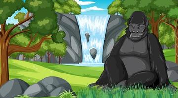 Gorilla in forest or rainforest scene with many trees vector