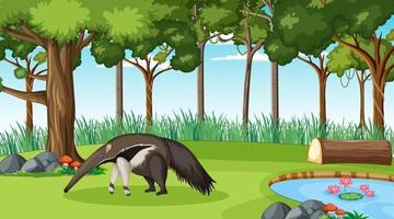 An anteater in forest scene with many trees vector