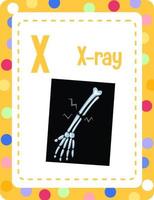 flashcard del alfabeto con la letra x para rayos x vector