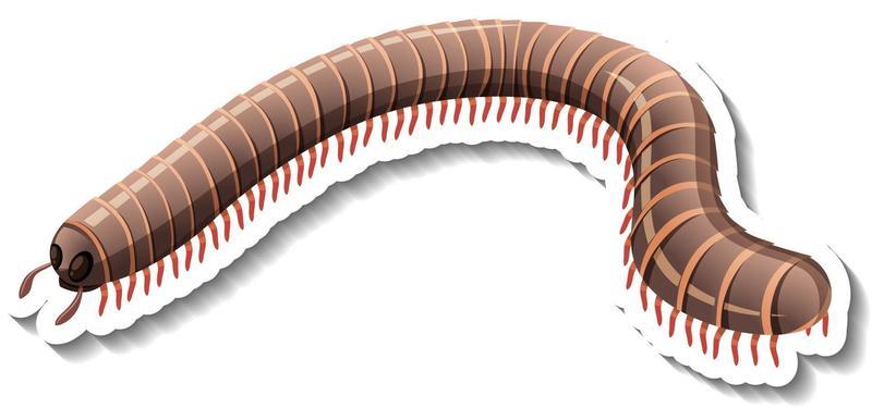 A sticker template with Millipede isolated