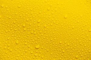 Rain or Water drops on yellow background photo