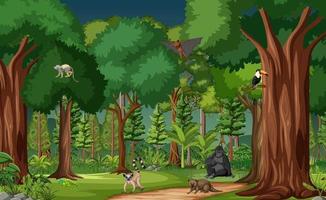 Tropical rainforest scene with various wild animals vector
