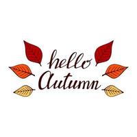 Set of the hand drawn lettering with decorative elements, autumn leaves. Text Hello autumn on the white background. Vector illustration. Perfect for prints, flyers, banners, invitations