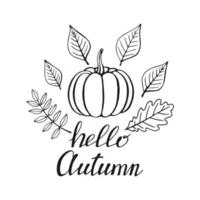 Hand drawn lettering with decorative elements, autumn leaves, pumpkin. Text Hello autumn on the white background. Vector illustration. Perfect for prints, flyers, banners, invitations