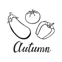 Hand drawn lettering with decorative elements, tomato, pepper, eggplant. Text Autumn on the white background. Vector illustration. Perfect for prints, flyers, banners, invitations