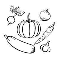 conjunto de verduras dibujadas a mano, elementos aislados en el blanco. ilustración vectorial. vector