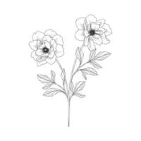 Ilustración floral de peonía dibujada a mano. vector