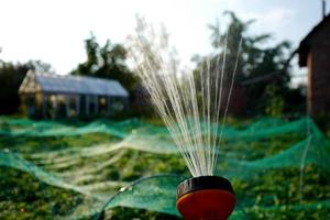 Water sprinkler in a garden photo